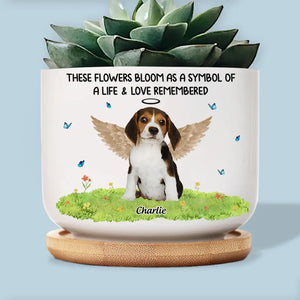 Custom Photo Don't Cry Because It's Over, Smile Because It Happened - Memorial Personalized Custom Home Decor Ceramic Plant Pot - Sympathy Gift For Pet Owners, Pet Lovers