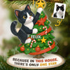 Custom Photo Acrylic Ornament - Personalized Christmas Birthday Gifts For Dog Cat Lovers, Dog Dad And Mom, Cat Owners - Cat Steals The Show