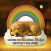 Custom Photo Shaped Light Box - Personalized Pet Memorial Gifts For Dogs, Cats - I’ll Meet You At The Rainbow Bridge