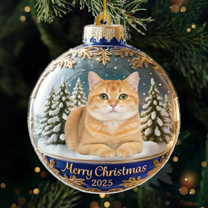 Custom Photo Acrylic Ornament - Personalized Christmas Birthday Gifts For Dog Cat Lovers, Dog Dad And Mom, Cat Owners - Meowy Christmas, Hooman