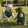 Custom Mexico World Football Pet Jersey - Personalized Birthday Gifts For Football Dog Cat Lovers, Dog Dad And Mom, Cat Owners - Furry Champion