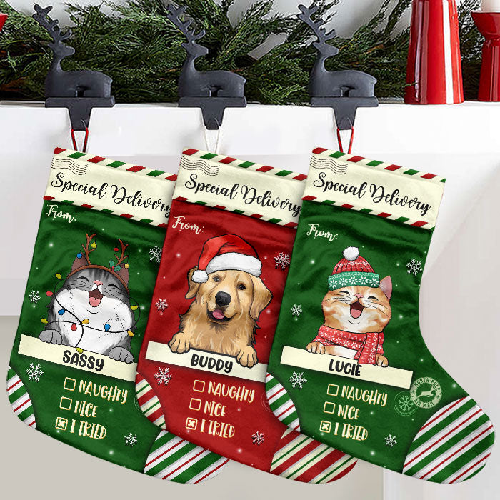 Special Delivery To Santa - Christmas Dogs & Cats - Personalized Christmas Stocking