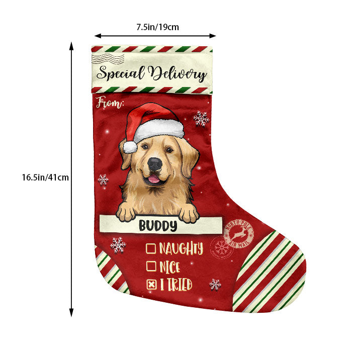 Special Delivery To Santa - Christmas Dogs & Cats - Personalized Christmas Stocking