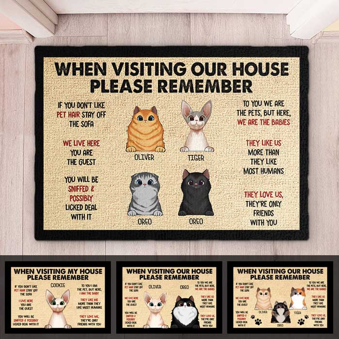 Pets' Rules When Visiting Our House - Cats And Dogs Personalized Decorative Mat, Doormat