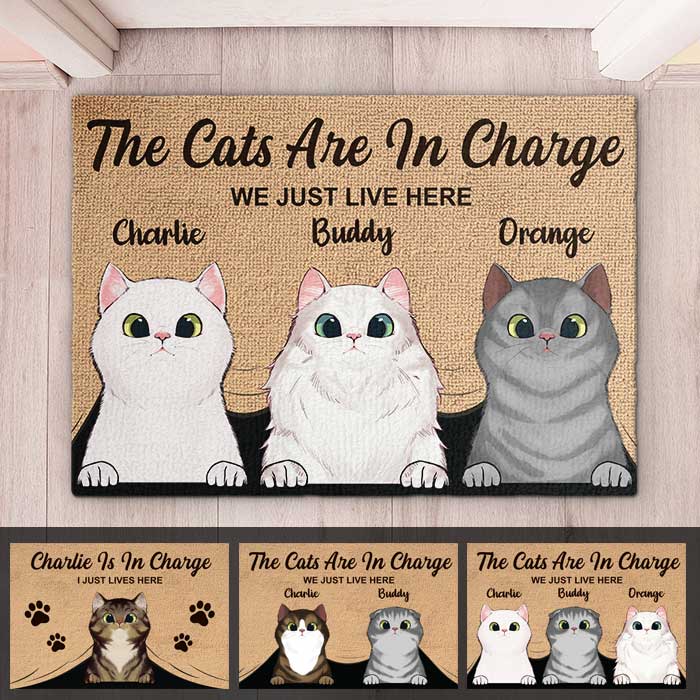 The Cats Are In Charge - Personalized Decorative Mat