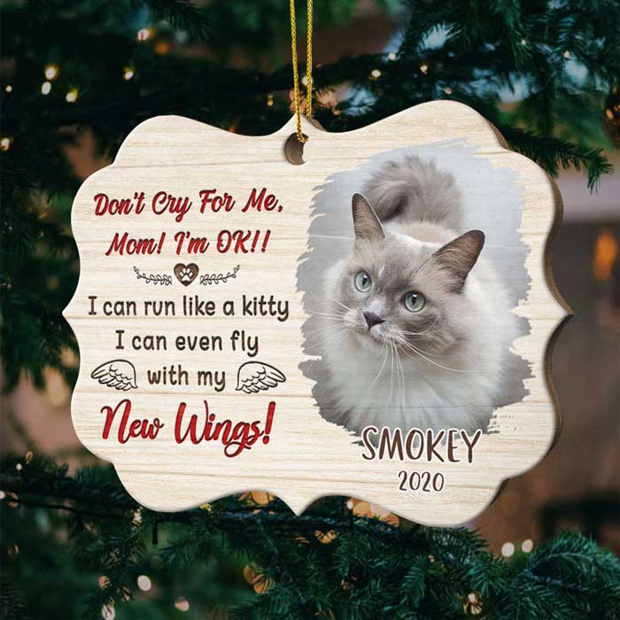 Don't Cry For Me - Upload Pet Photo - Personalized Custom Benelux Shaped Wood Christmas Ornament