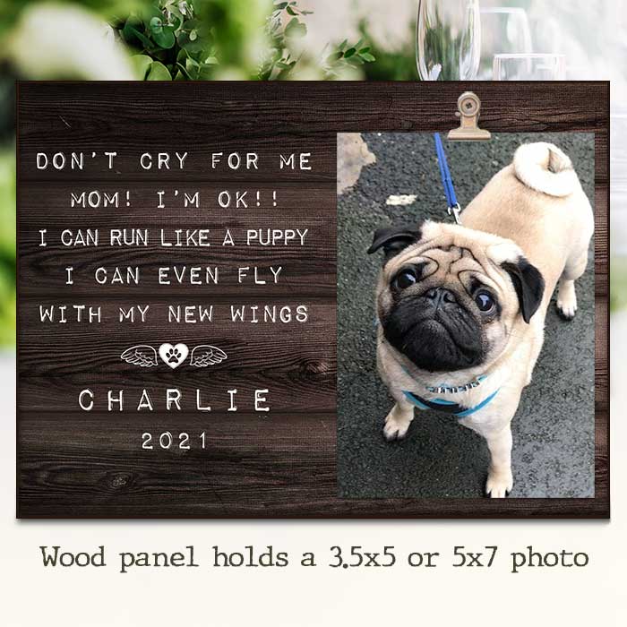 Don't Cry For Me - I Can Fly With My New Wings - Personalized Photo Frame