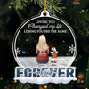 You Were My Favorite Hello And My Hardest Goodbye - Memorial Personalized Custom Ornament - Acrylic Snow Globe Shaped - Sympathy Gift, Christmas Gift For Pet Owners, Pet Lovers