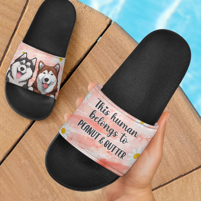 This Human Belongs To - Personalized Slide Sandals, Slippers - Gift For Pet Lovers