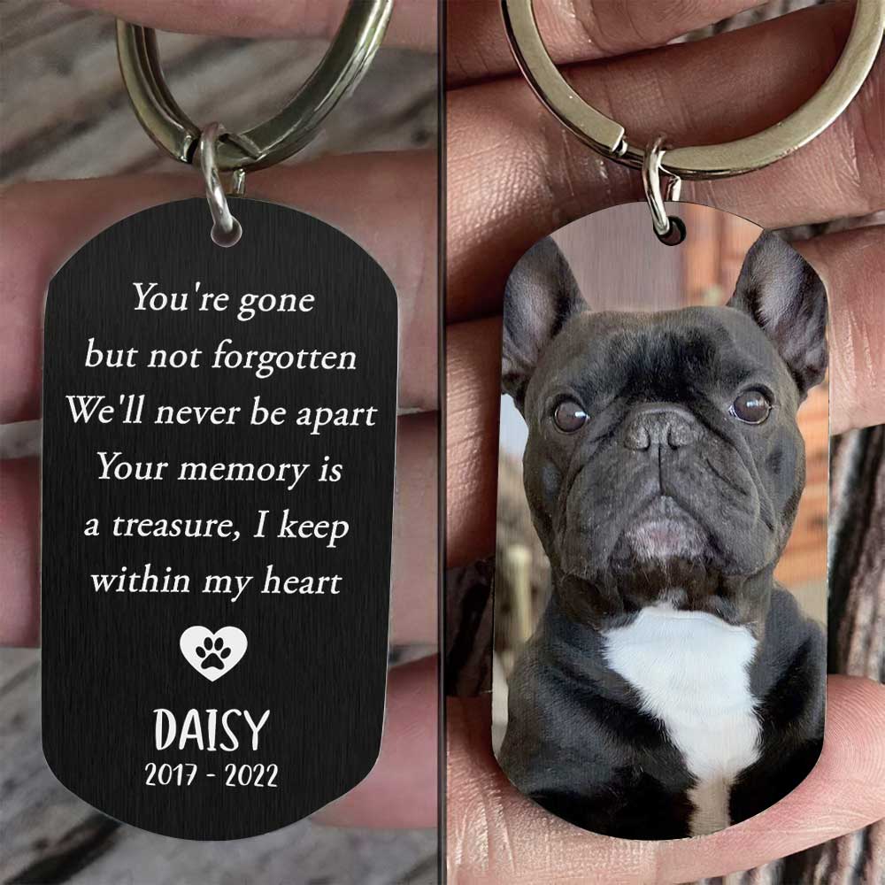 You're Gone But Not Forgotten - Upload Image, Gift For Pet Lovers - Personalized Keychain.