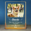 Custom Photo A Dog’s Love Is Forever  - Memorial Personalized Custom Shaped 3D LED Walnut Night Light - Sympathy Gift For Pet Owners, Pet Lovers