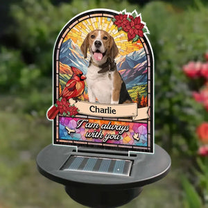 Photo personnalisée toujours avec vous - Lampe solaire de jardin personnalisée commémorative - Cadeau de condoléances pour les membres de la famille, les propriétaires d'animaux et les amoureux des animaux