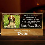 Custom Photo Paws In Heaven, Prints In Our Hearts - Memorial Personalized Custom Acrylic Letters 3D LED Night Light - Sympathy Gift For Dog Lovers, Pet Owners