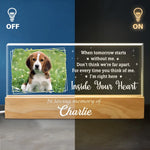 Custom Photo Paws In Heaven, Prints In Our Hearts - Memorial Personalized Custom Acrylic Letters 3D LED Night Light - Sympathy Gift For Dog Lovers, Pet Owners