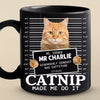 Custom Photo Furry Roommate, Furever Friend - Cat Personalized Custom Black Mug - Gift For Pet Owners, Pet Lovers