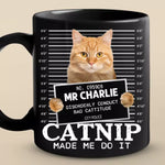 Custom Photo Furry Roommate, Furever Friend - Cat Personalized Custom Black Mug - Gift For Pet Owners, Pet Lovers