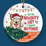 Christmas Cheer With My Pet Sidekick - Dog & Cat Personalized Custom 3D Inflated Effect Printed Ornament - Ceramic Round Shaped - Christmas Gift For Pet Owners, Pet Lovers