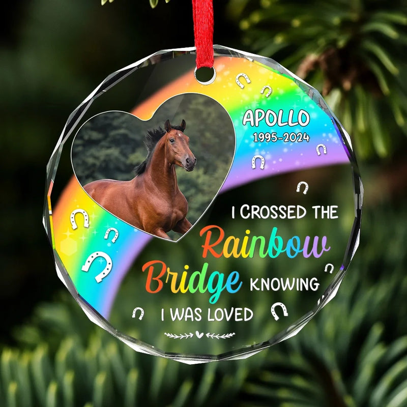 Custom Photo No Greater Companion, No Better Friend - Memorial Personalized Custom Circle Glass Ornament - Sympathy Gift, Christmas Gift For Pet Owners, Pet Lovers