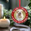 Custom Photo Joy To The World, My Pet Has Come - Dog & Cat Personalized Custom Circle Glass Ornament - Christmas Gift For Pet Owners, Pet Lovers, First Christmas
