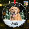Custom Photo 'Til We Meet Again, My Friend - Memorial Personalized Custom Circle Glass Ornament - Christmas Gift, Sympathy Gift For Pet Owners, Pet Lovers