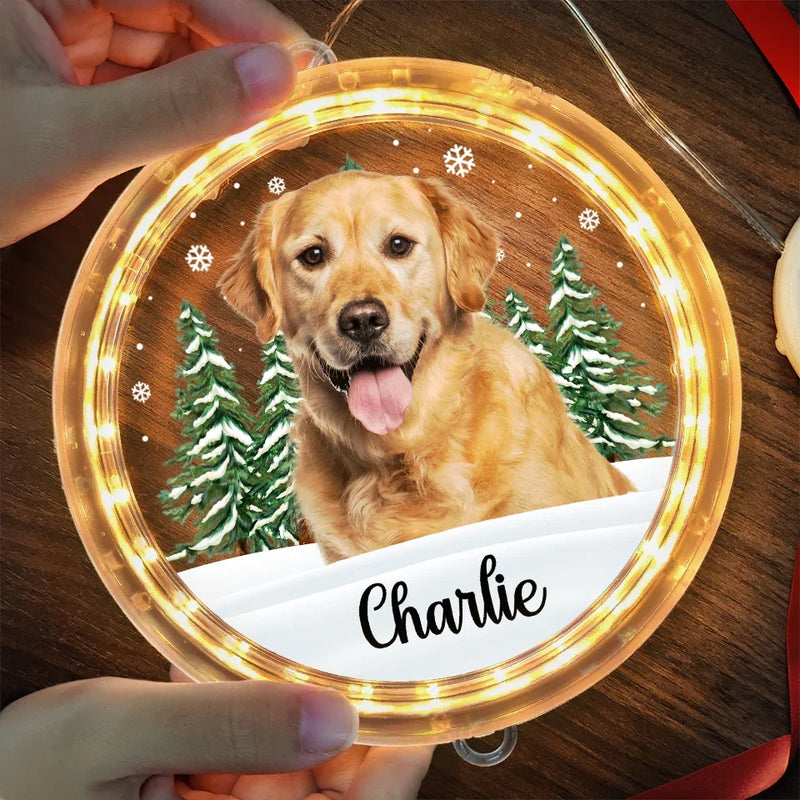 Custom Photo Every Day Is A Holiday With You By My Side - Dog & Cat Personalized Custom LED Pendant Light Ornament - Christmas Gift For Pet Owners, Pet Lovers
