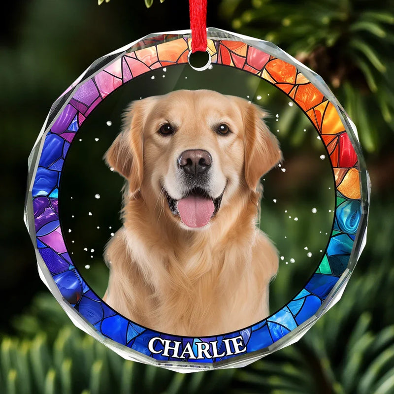 Custom Photo Every Pet Must Have His Day - Dog & Cat Personalized Custom Circle Glass Ornament - Christmas Gift For Pet Owners, Pet Lovers