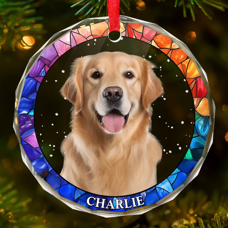 Custom Photo Every Pet Must Have His Day - Dog & Cat Personalized Custom Circle Glass Ornament - Christmas Gift For Pet Owners, Pet Lovers