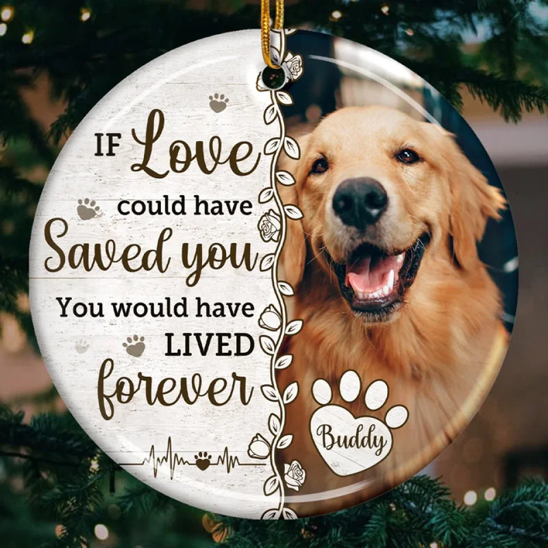 Custom Photo Until We Meet Again, My Loyal Friend - Memorial Personalized Custom Ornament - Ceramic Round Shaped - Christmas Gift, Sympathy Gift For Pet Owners, Pet Lovers