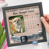 Custom Photo A Piece Of My Heart Is With You - Memorial Personalized Custom Pet Loss Sign, Collar Frame - Sympathy Gift For Pet Owners, Pet Lovers