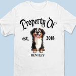 Property Of My Dog - Dog Personalized Custom Unisex T-shirt, Premium T-shirt, Hoodie - Gift For Dog Lovers, Pet Owners