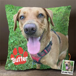 Custom Photo All You Need Is Love And A Pet - Dog & Cat Personalized Custom Pillow - Gift For Pet Owners, Pet Lovers