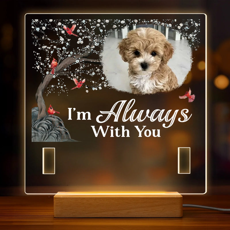 Custom Photo I'm Always With You - Memorial Personalized Custom Pet Loss Memorial Light - Sympathy Gift For Dog Lovers, Pet Lovers