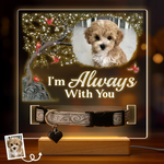 Custom Photo I'm Always With You - Memorial Personalized Custom Pet Loss Memorial Light - Sympathy Gift For Dog Lovers, Pet Lovers