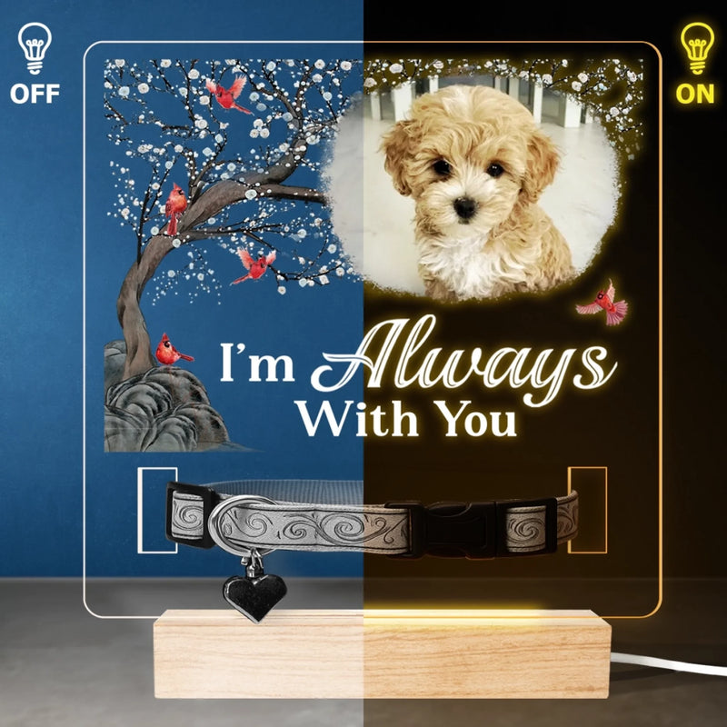 Custom Photo I'm Always With You - Memorial Personalized Custom Pet Loss Memorial Light - Sympathy Gift For Dog Lovers, Pet Lovers