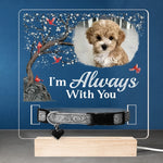 Custom Photo I'm Always With You - Memorial Personalized Custom Pet Loss Memorial Light - Sympathy Gift For Dog Lovers, Pet Lovers