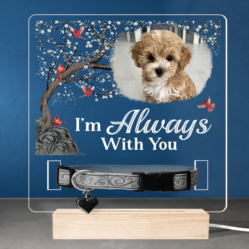Custom Photo I'm Always With You - Memorial Personalized Custom Pet Loss Memorial Light - Sympathy Gift For Dog Lovers, Pet Lovers