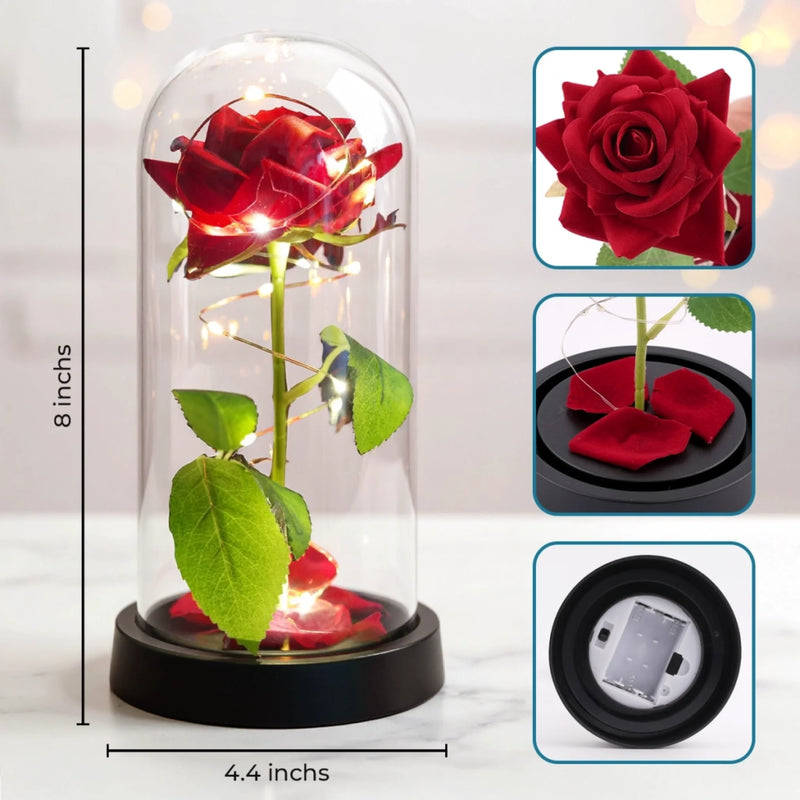 Custom Light Up Eternal Rose In Glass Dome - Personalized Anniversary Wedding Gifts For Husband And Wife, Him And Her - Together, We Blossom