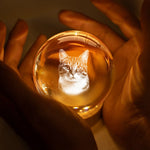 Custom Photo Crystal Globe Lamp - Personalized Pet Memorial Sympathy Gifts For Cat Lovers - Memories Glow Eternal