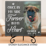 Custom Photo We'll Miss You For The Rest Of Ours - Memorial Personalized Custom Memorial Stone - New Arrival, Sympathy Gift For Pet Owners, Pet Lovers - AMZ