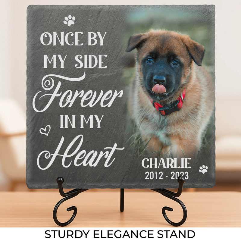 Custom Photo We'll Miss You For The Rest Of Ours - Memorial Personalized Custom Memorial Stone - New Arrival, Sympathy Gift For Pet Owners, Pet Lovers - AMZ