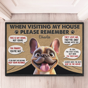 Tapis décoratif personnalisé pour la maison - Cadeaux d'anniversaire personnalisés pour les amoureux des chiens, papa et maman de chiens - Le chien approuve tous les visiteurs