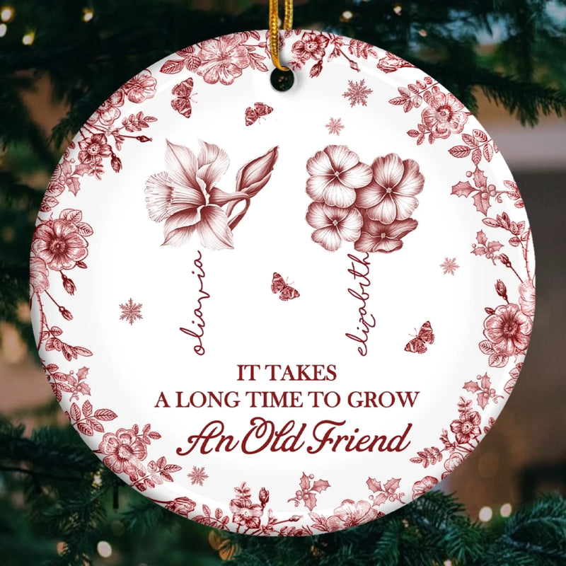 Custom Ceramic Ornament - Personalized Best Friend Birthday Gifts For Women, Besties, Sisters, BFF - True Friendship Grows With Time