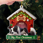 Custom Acrylic Ornament - Personalized Christmas Birthday Gifts For Dog Lovers, Dog Dad, Dog Mom - Slept Through Santa, Woke Up To Love