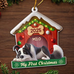 Custom Acrylic Ornament - Personalized Christmas Birthday Gifts For Dog Lovers, Dog Dad, Dog Mom - Slept Through Santa, Woke Up To Love