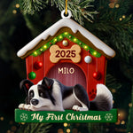 Custom Acrylic Ornament - Personalized Christmas Birthday Gifts For Dog Lovers, Dog Dad, Dog Mom - Slept Through Santa, Woke Up To Love