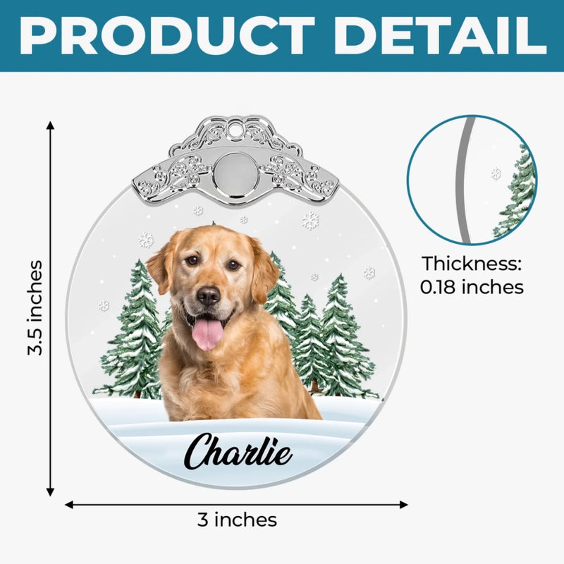 Custom Photo Glass Ornament - Personalized Pet Christmas Memorial Sympathy Gifts For Dogs, Cats - Always In My Heart