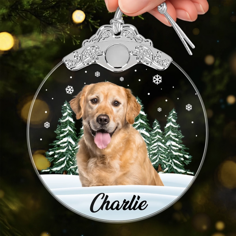 Custom Photo Glass Ornament - Personalized Pet Christmas Memorial Sympathy Gifts For Dogs, Cats - Always In My Heart