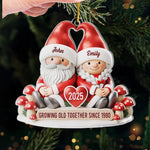 Custom Acrylic Ornament - Personalized Anniversary Christmas Wedding Gifts For Husband And Wife, Him And Her - My Happily Ever Gnome