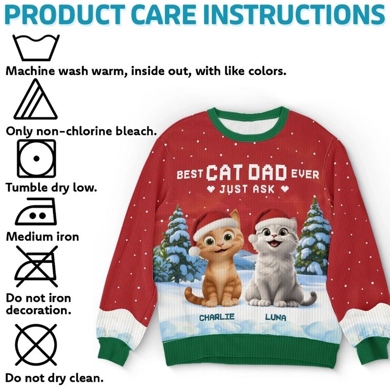 Custom Unisex Ugly Sweatshirt - Personalized  Christmas Birthday Gifts For Cat Lovers, Cat Mom And Dad - Ho Ho Hold My Catnip