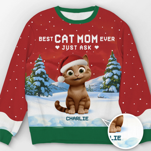 Custom Unisex Ugly Sweatshirt - Personalized  Christmas Birthday Gifts For Cat Lovers, Cat Mom And Dad - Ho Ho Hold My Catnip